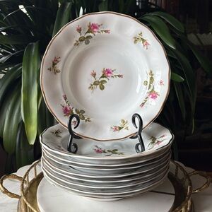 Rare Set of 9 Favolina-Karolina Poland Moss Rose VTG Porcelain Rimmed Soup Bowls